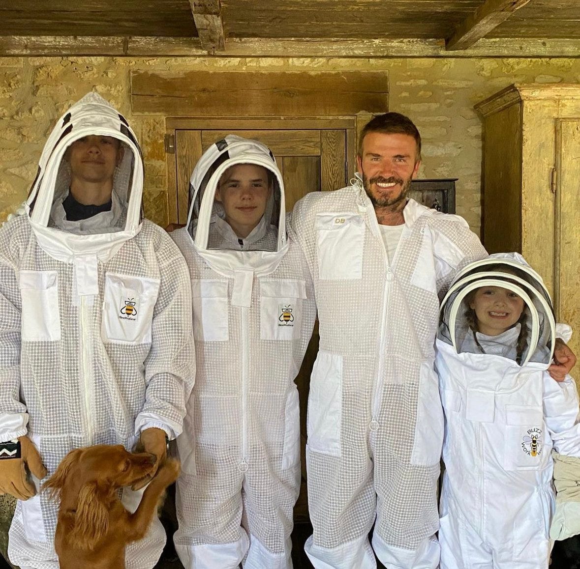 David Beckham's Iconic Bee Garden — Salisbury Grange