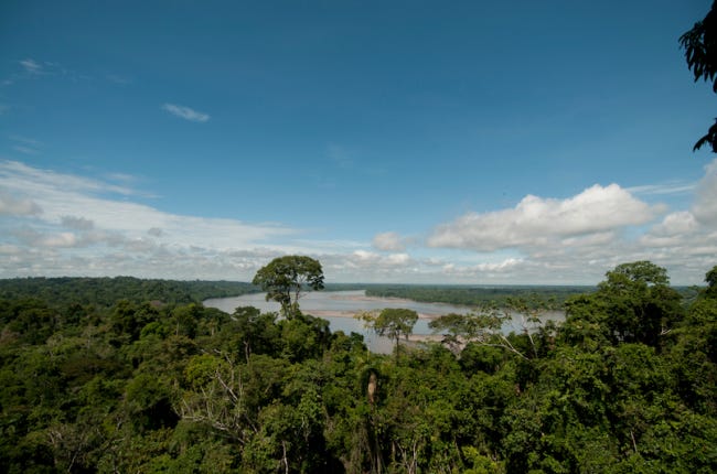 Napo River, Yasuní National Park, Ecuador, 2014. (Peter Prokosch / GRID-Arendal / grida.no/resources/3804) Napo River, Yasuní National Park, Ecuador, 2014. (Peter Prokosch / GRID-Arendal / grida.no/resources/3804)