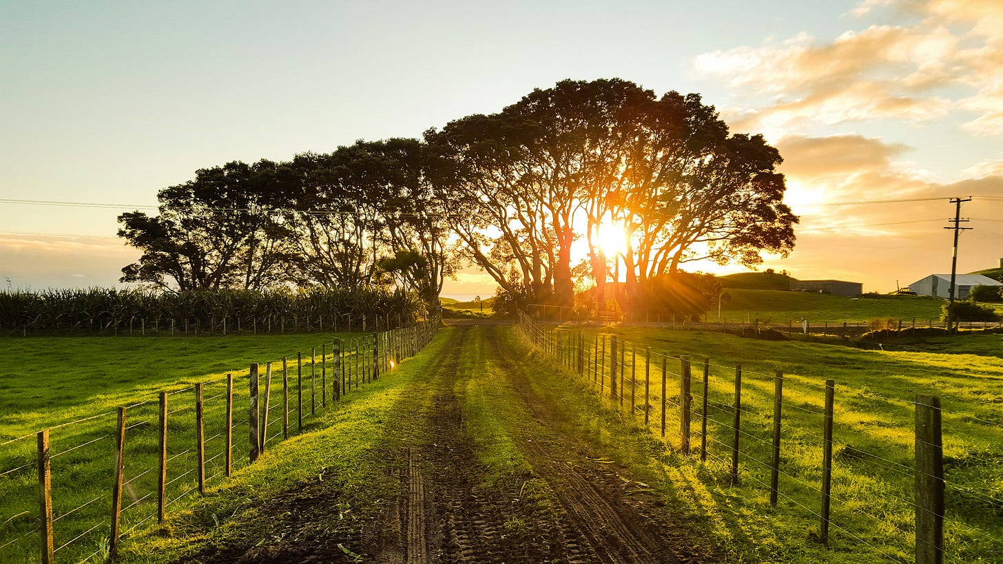 country road
