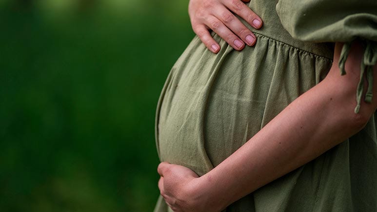 maternal nutrition during pregnancy and child neurodevelopment