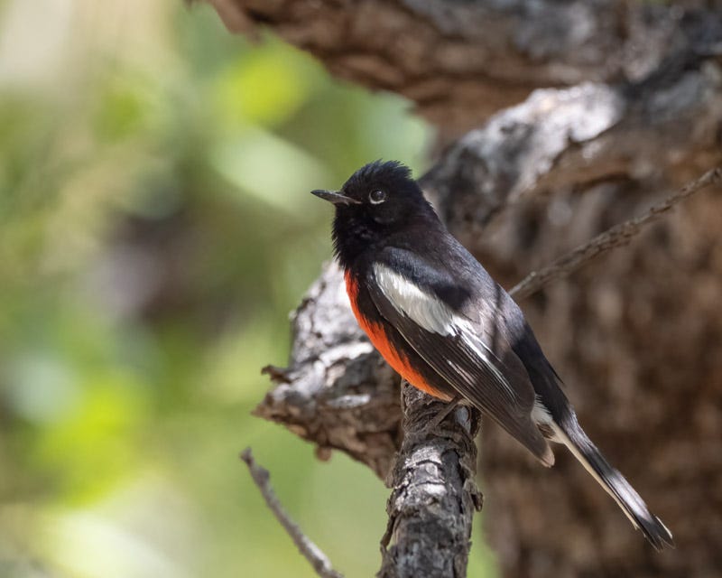20250521-MillerCanyon-60-Edit.jpg 20250521-MillerCanyon-60-Edit.jpg