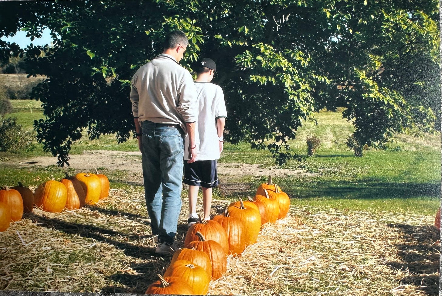 Father and son searching for pumpkins