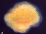 lexicon magazine - IMAGO MENTIS – the thought-form drawings of Annie Besant