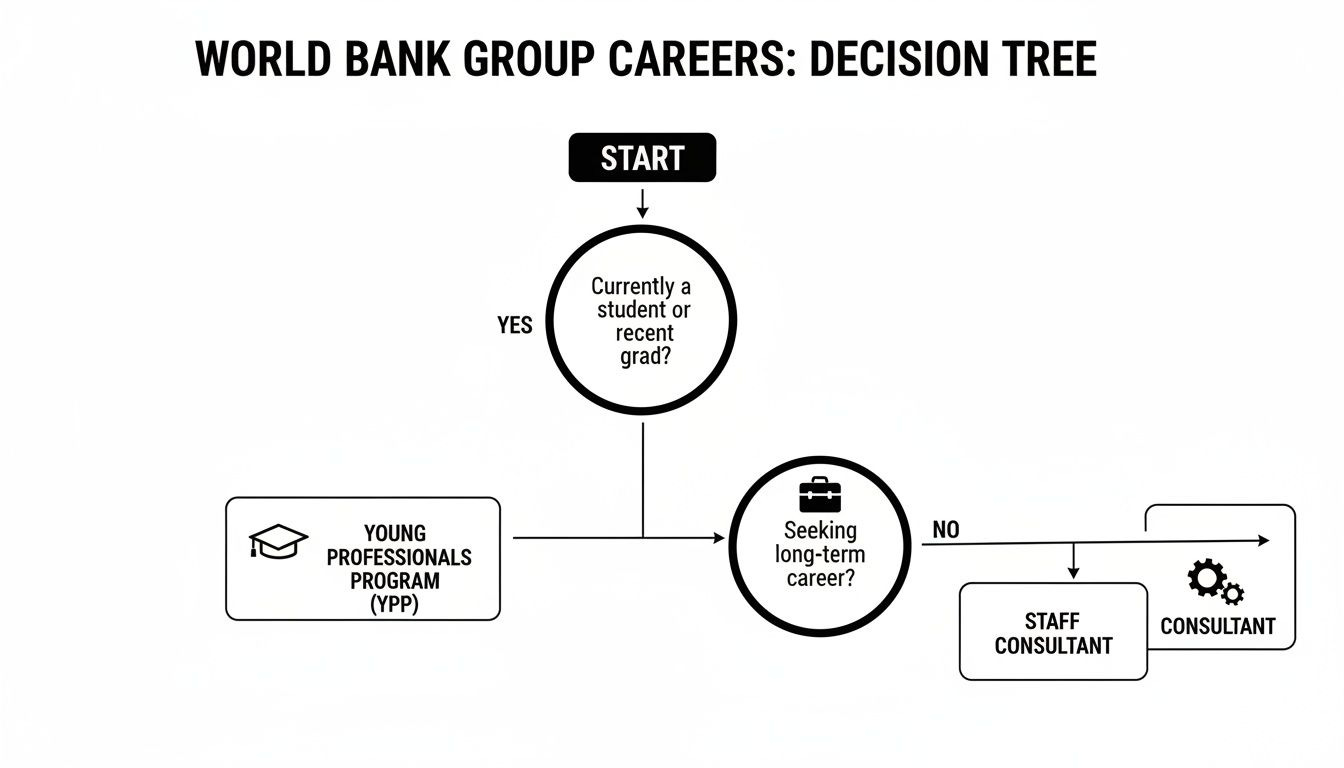 A decision tree illustrating career paths at the World Bank Group, showing options for students and professionals.