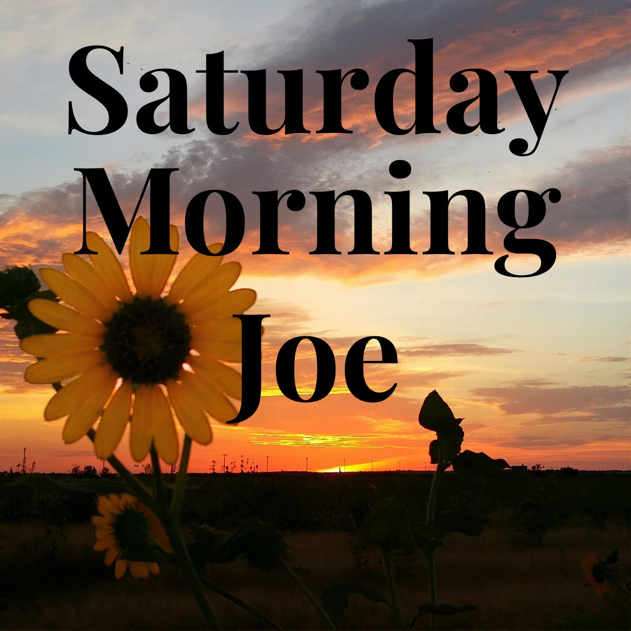 Saturday Morning Joe