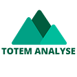 Totem Analyse's avatar