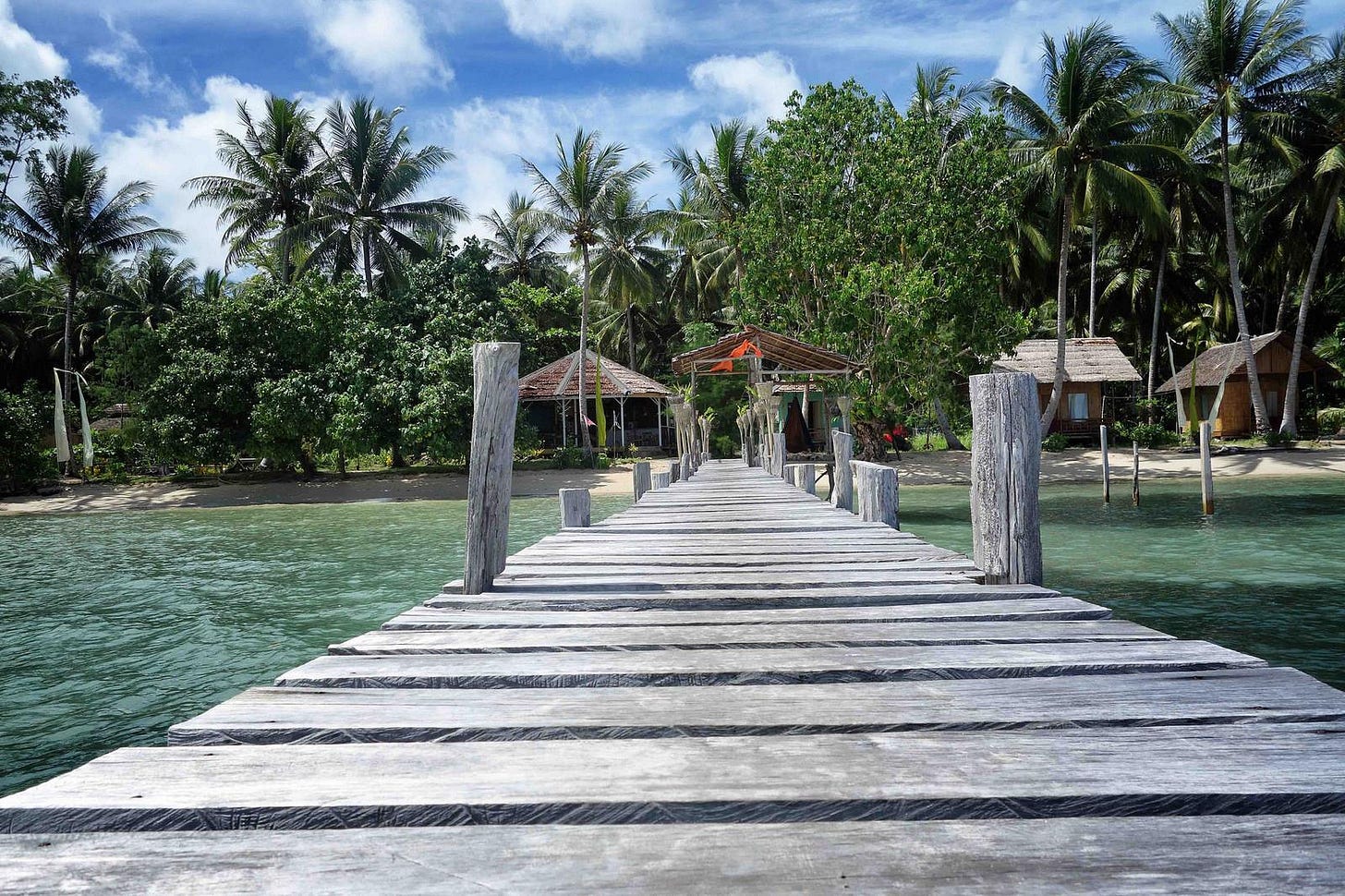 Steg Sulawesi mit Palmen und hellblauem Meerwasser. Bild von Local Hideaways