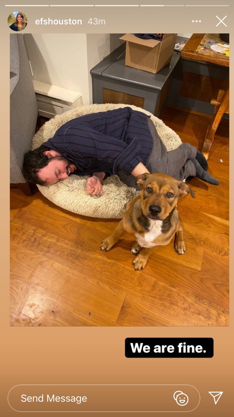 Adam experiencing an emotional breakdown in Cassius' dog bed while Cassius stares directly into the camera, somewhat confused