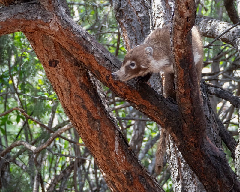 20240623-AZYBC-542-Edit.jpg 20240623-AZYBC-542-Edit.jpg