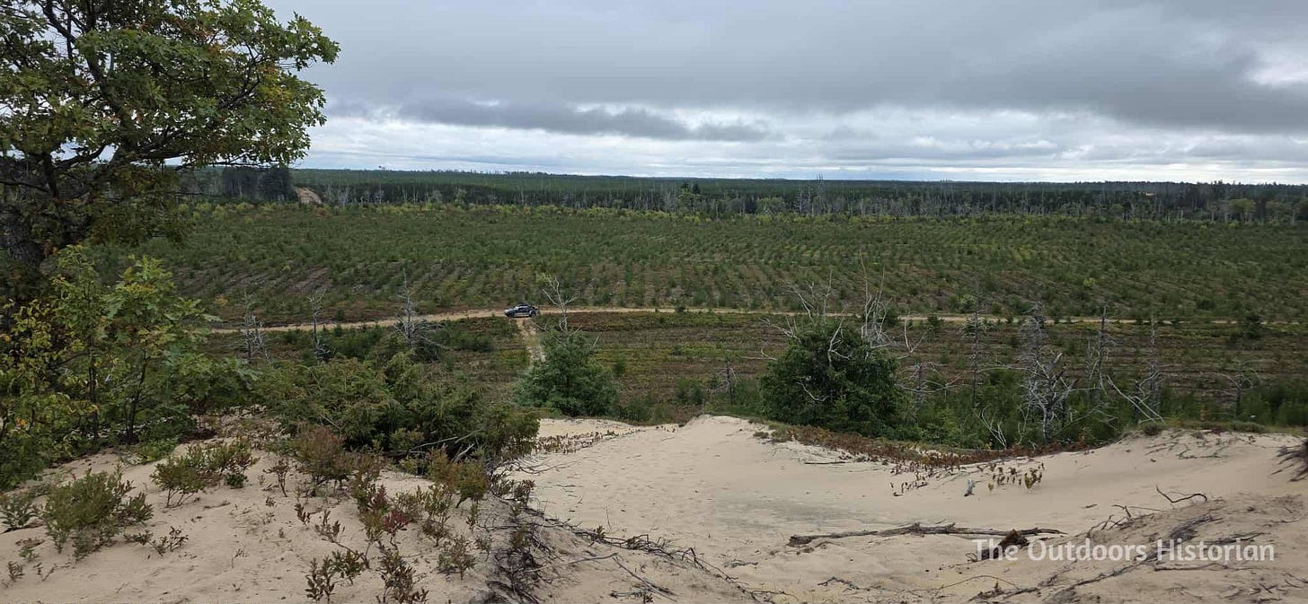 Looking down at our Tacoma on a sandy two-track amid young forest regrowth and burnt remains of the Duck Lake Fire.