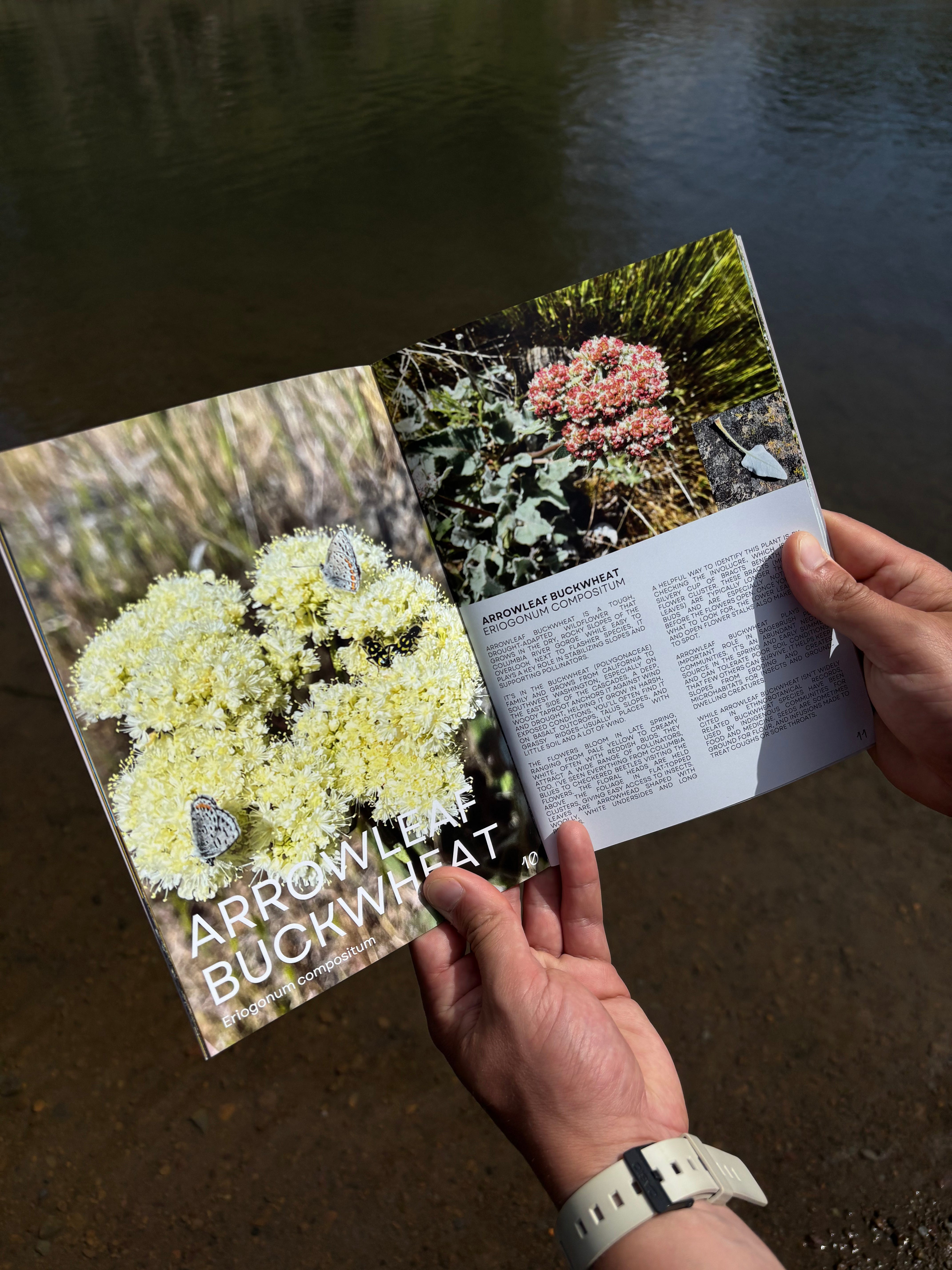 Handmade Field Guide I made a field guide! - Mario Catani