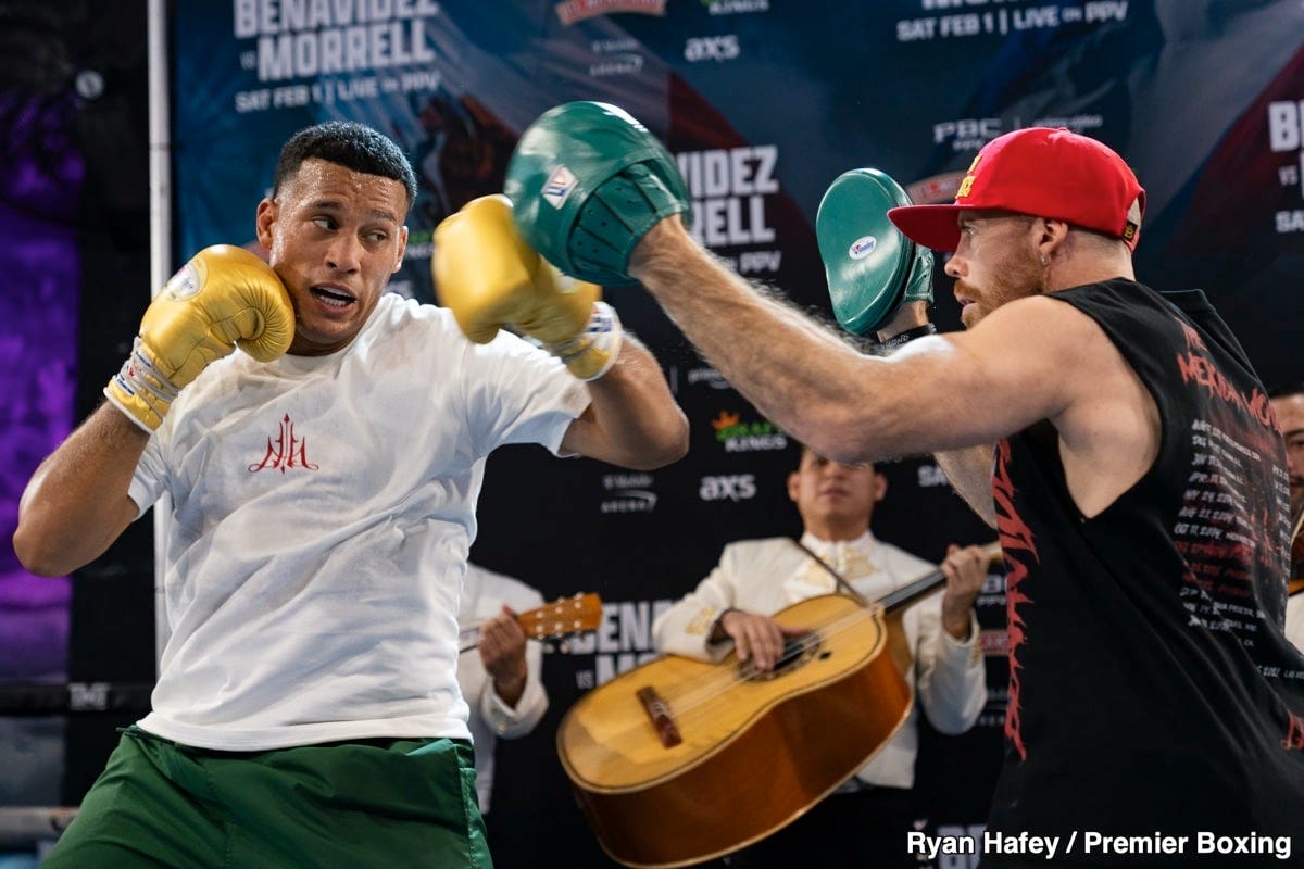 Image: Part II: On Canelos Claim That Benavidez Has Accomplished Nothing!”