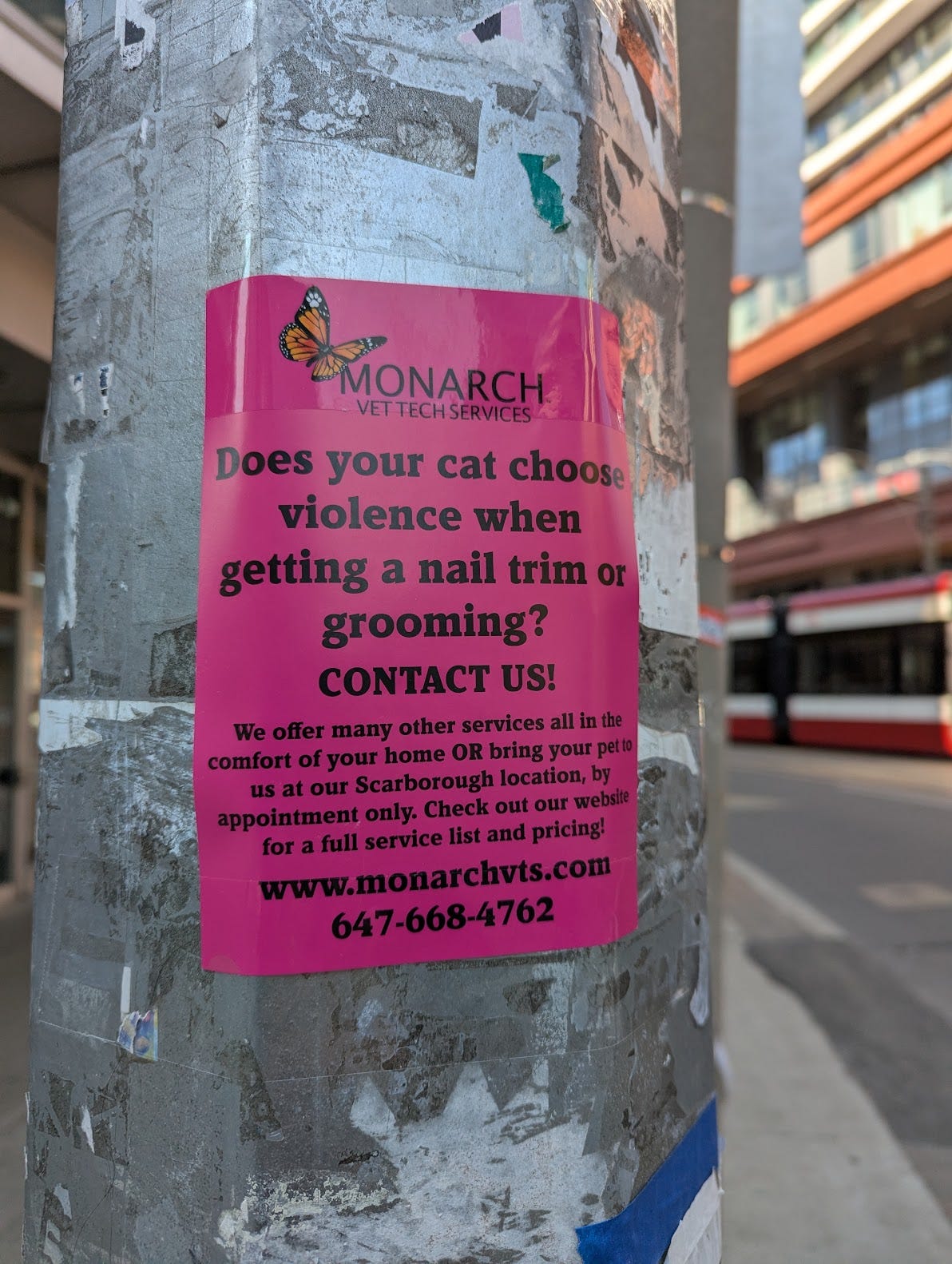 Does your cat choose violence when getting a nail trim or grooming? Contact us!