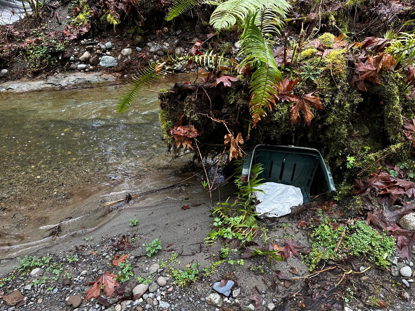 A plastic bin in a river

Description automatically generated