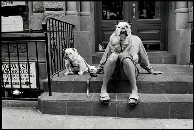 erwitt