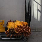 Between the raindrops ☂