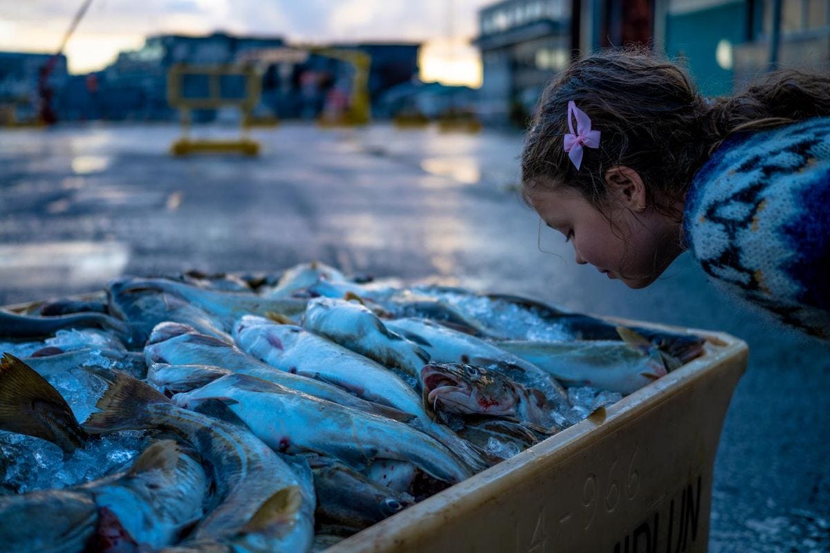 If Rotten Fish Smell Like Roses to You, a Genetic Mutation Might Be to Blame