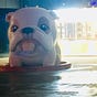 Michael Hong's avatar