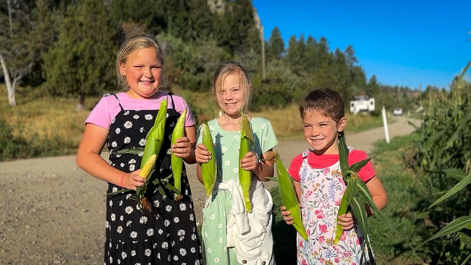 Indiana and some of the kids from Greycliff Mill in Big Timber Montana hold up ears of corn after the corn harvest. Indiana and some of the kids from Greycliff Mill in Big Timber Montana hold up ears of corn after the corn harvest.