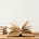 El Arte de Publicar Libros