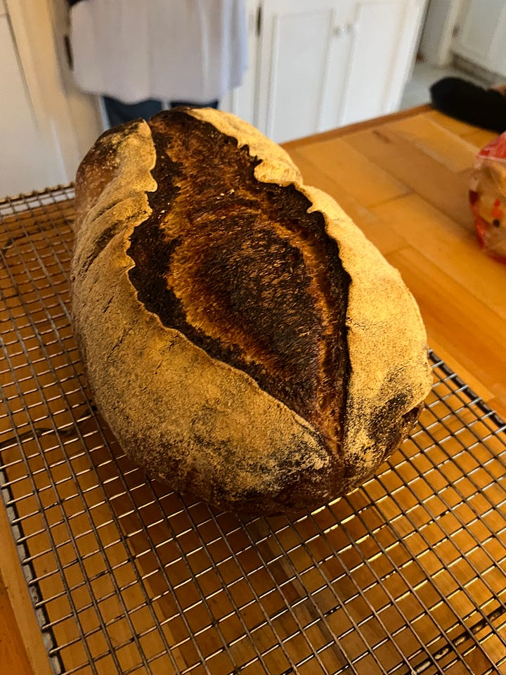 two photos of an oddly shaped loaf of sourdough bread, which has an almost slug-like appearance because one end seems to be turned up into the air