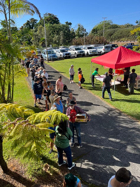 Line of people at the entrance to the plant sale, crowds of people in a courtyard, a woman with a jar of fermenting cacao beans