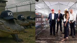 Trump inaugura 'Alligator Alcatraz', prisión para migrantes rodeada de  caimanes en Florida
