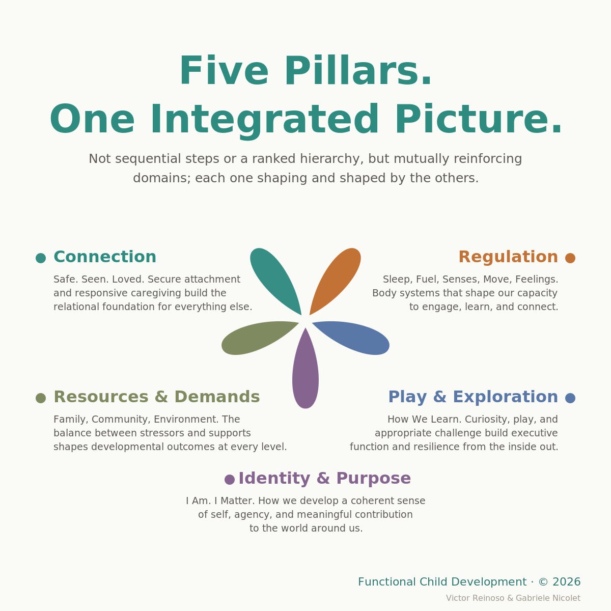 Five petals in FCD's colors, labeled Connection, Regulation, Play and Exploration, Identity and Purpose, and Resources and Demands, each with a one-line description.