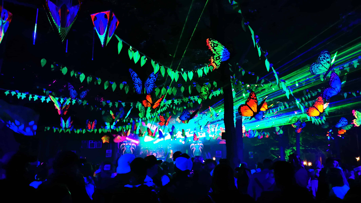 Boomtown: 35 hours of sets from Tribe of Frog are now on SoundCloud