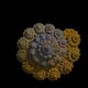Hendrik’s Biological Theory of Law