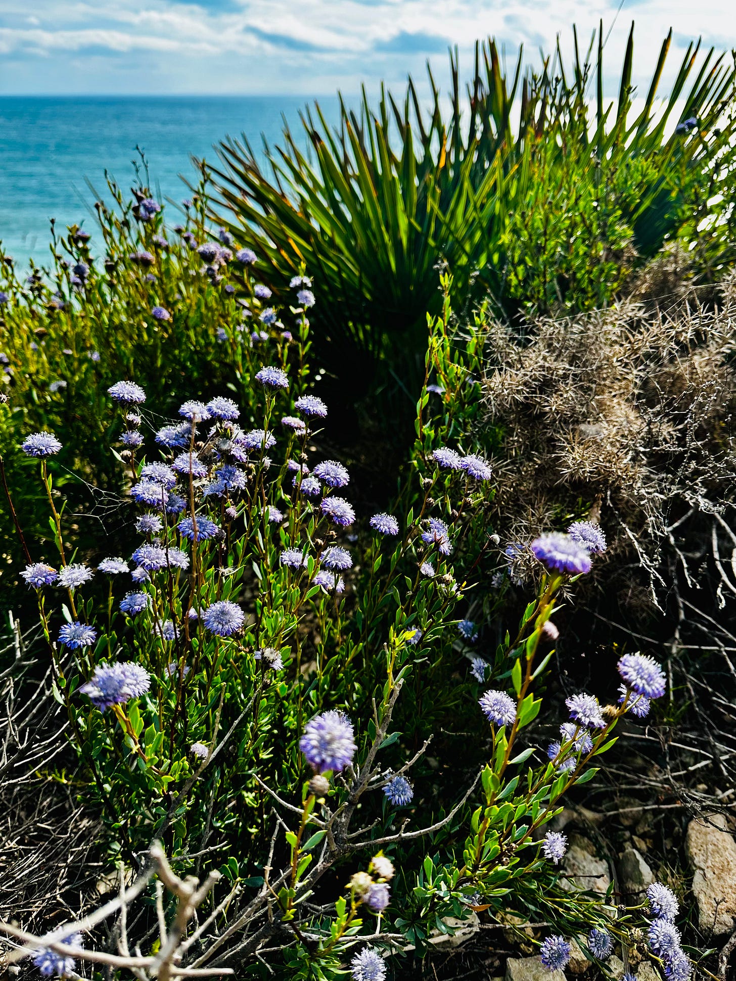 The Camí de Vilanova a Sitges 