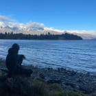 Stock Updates: The Problem Children