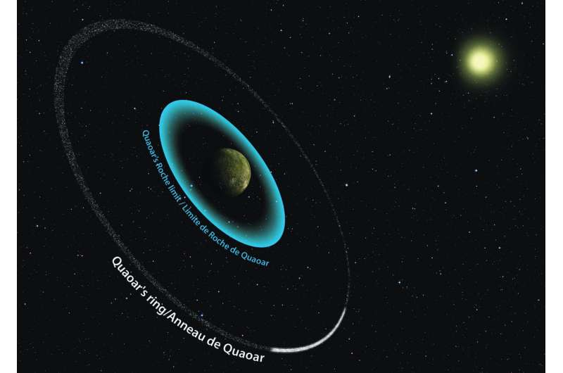 A new ring system discovered in our Solar System