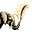 coomservative's avatar