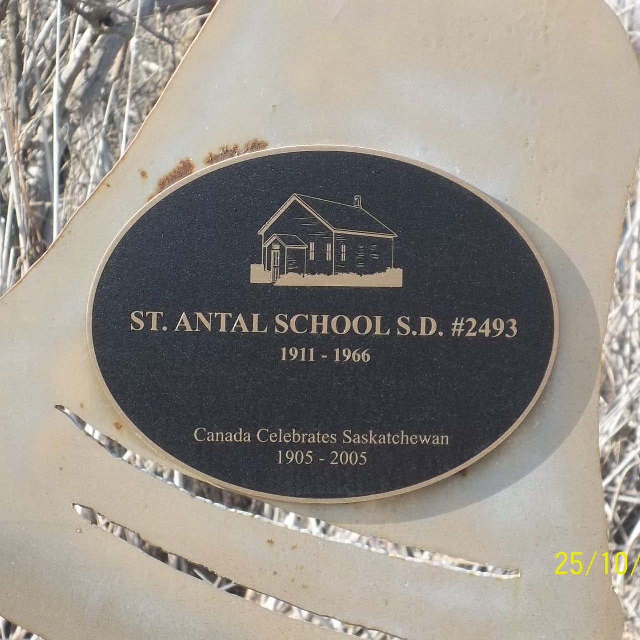 Neurodivergent Reflections