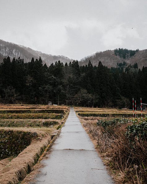 Photos from our trip to Shirakawa Village