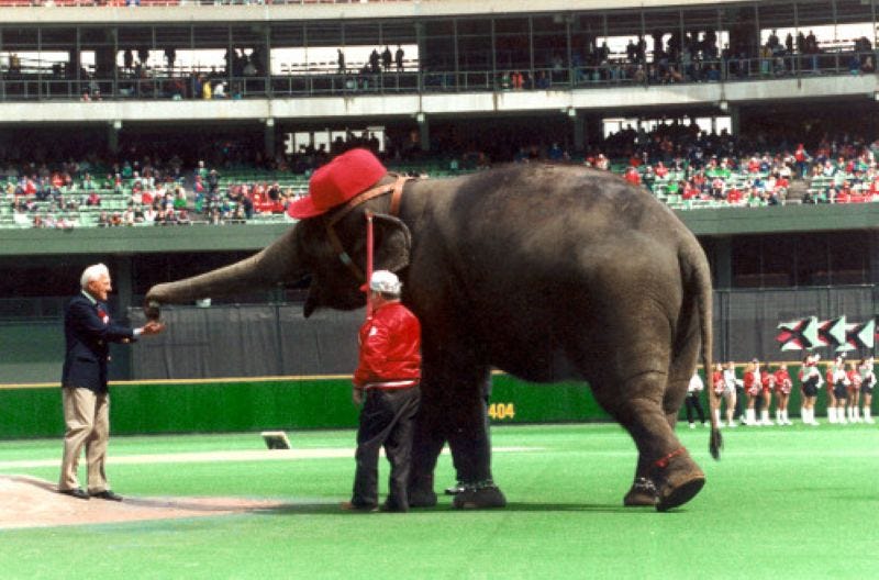 Sparky Anderson gets the ball from an elephant in a Reds cap.