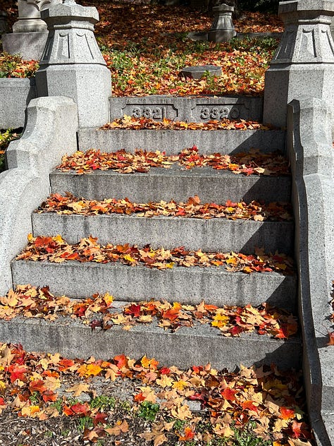 Colorful autumn trees in a cemetery, and an image of two turkeys who live there.