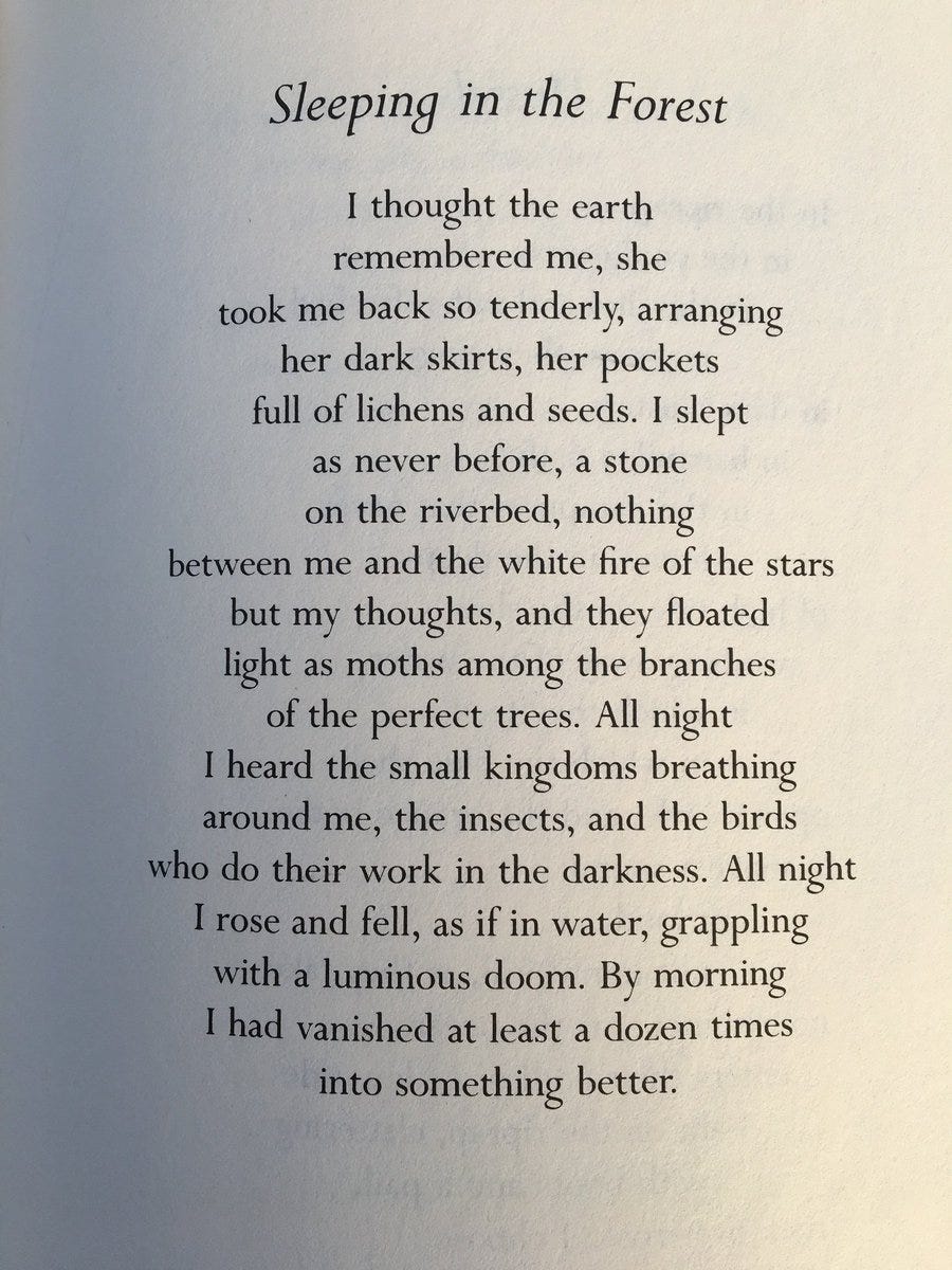 Kim French on X: "@23cschwartz Mary Oliver - Sleeping in the Forest  https://t.co/AjqmQO3gcp" / X