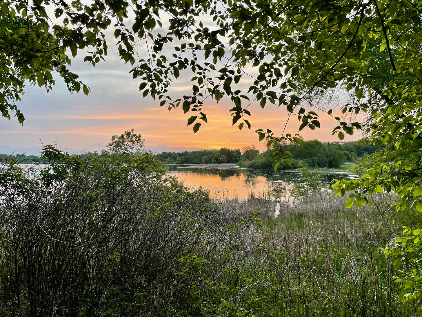 Verdant sunrise over a small lake with clouds colored orange and yellow