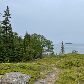 What We Talk About on Trail