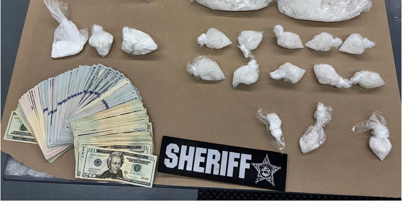 Manatee County Narcotics Investigation Leads to Arrest, Seizure of Methamphetamine and Cocaine in Palmetto