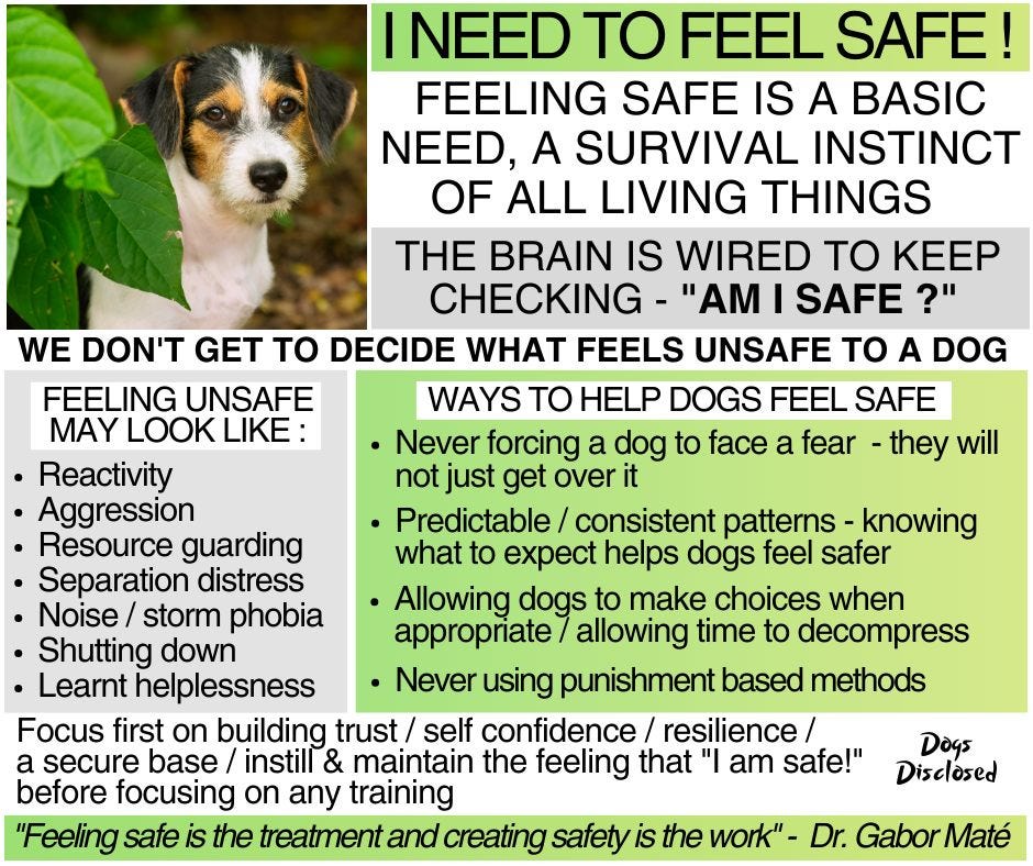 May be an image of dog and text