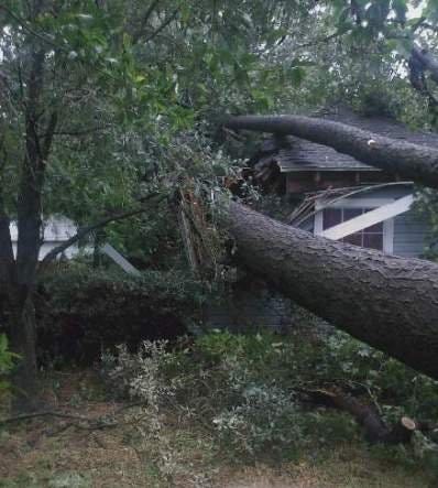 No photo description available. No photo description available.