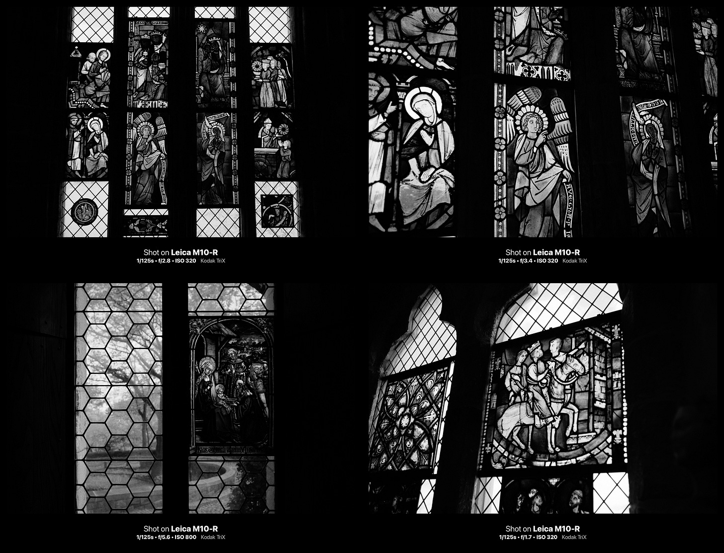 black and white photograph. cameraclara.com all rights reserved.