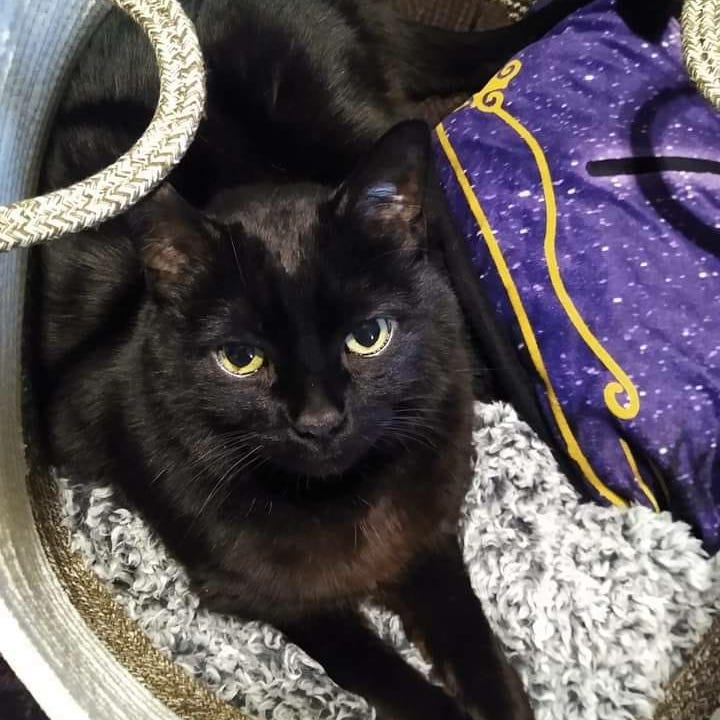 Artwork for It's Always Something