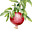 Gourmand Dinner's avatar