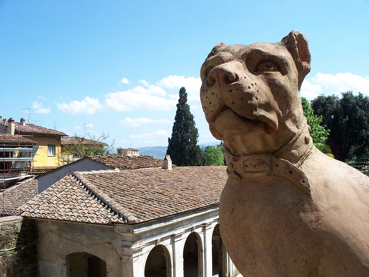 Florence, Italy, 2008 / Laura Motta