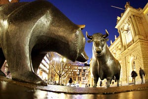 bull - bear