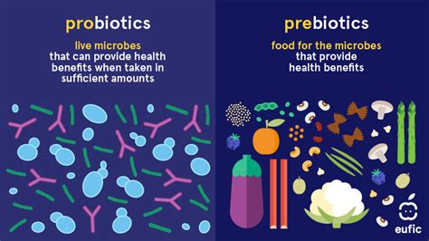 Prebiotic vs. Probiotic: Do They Work? - Lesson plans for GI physiology topics